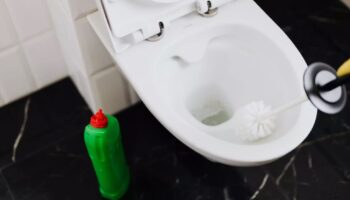 Çatalca Klozet Tamiri
